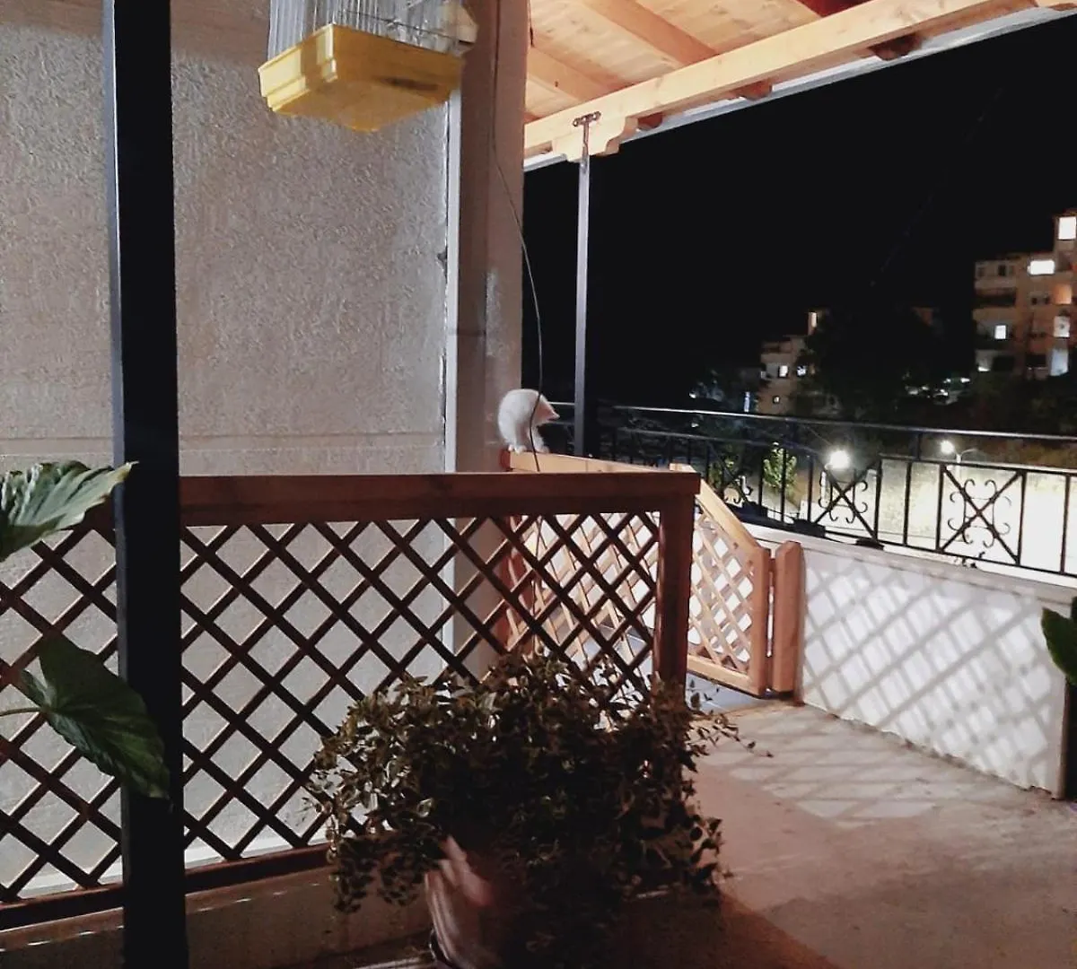Dalipi'S Guest House Διαμέρισμα Αργυρόκαστρο