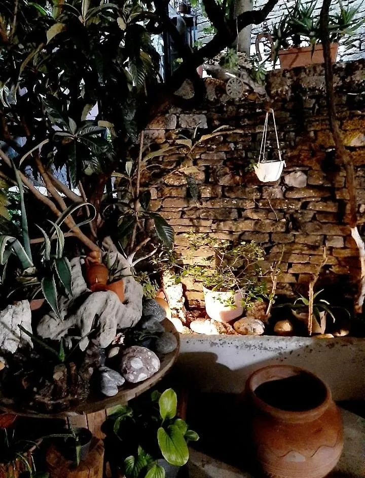 Dalipi'S Guest House Αλβανία